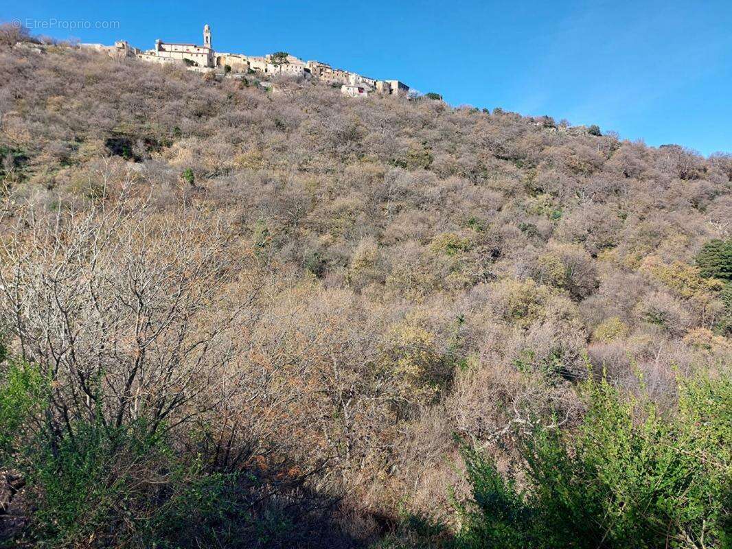 Terrain à VILLE-DI-PARASO