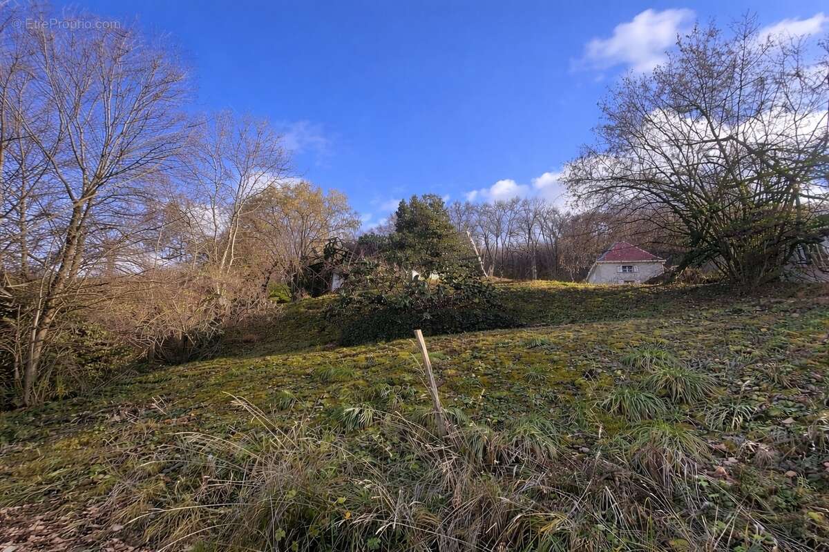 Terrain à MURIANETTE