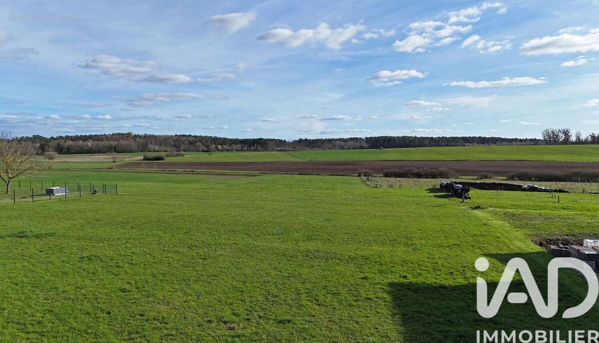 Photo 2 - Terrain à REHAINCOURT
