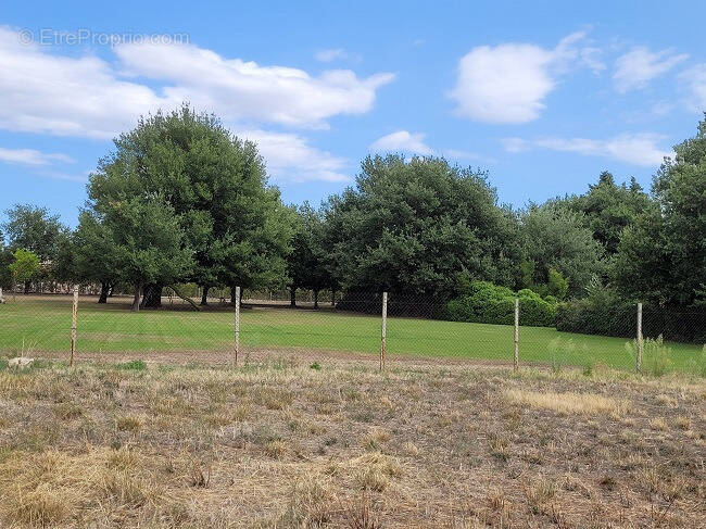 Terrain à TOULOUGES