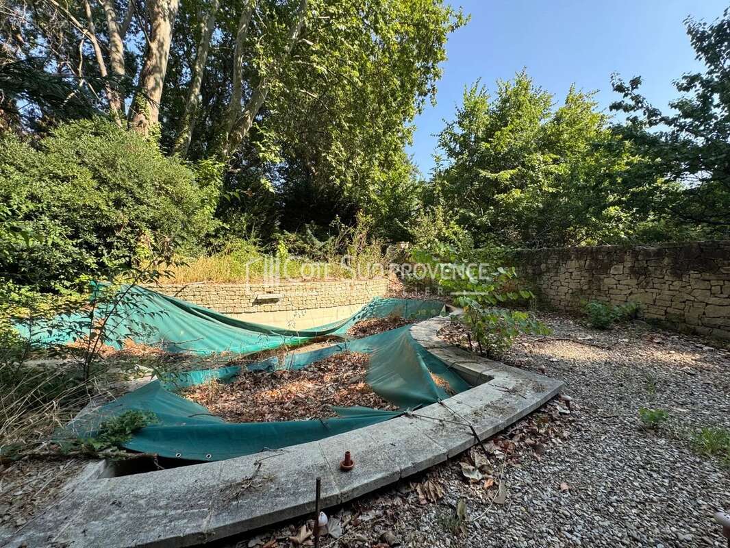 Exclusivite  - saint-didier - maison de maître xixéme - photo 18