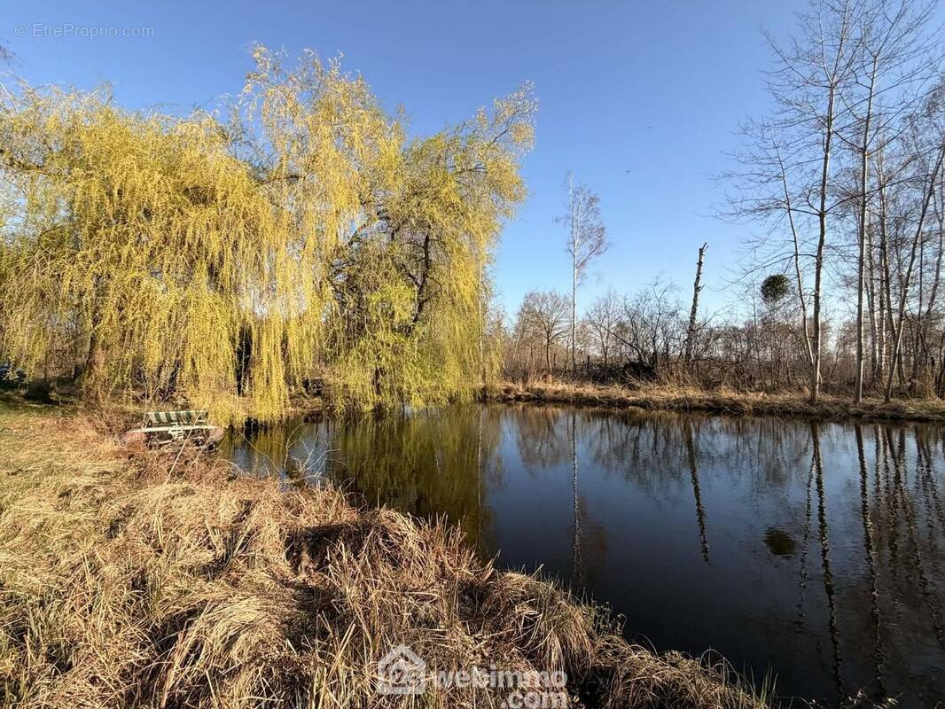 Un véritable écrin de verdure de 4785 m² avec son étang privé, idéal pour s?évader et profiter du calme absolu. - Terrain à PIERREPONT