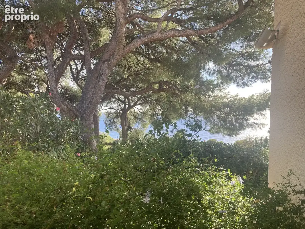 HYÈRES   ALMANARRE / COSTEBELLE T2 vue mer terrasse et jardin - photo 20
