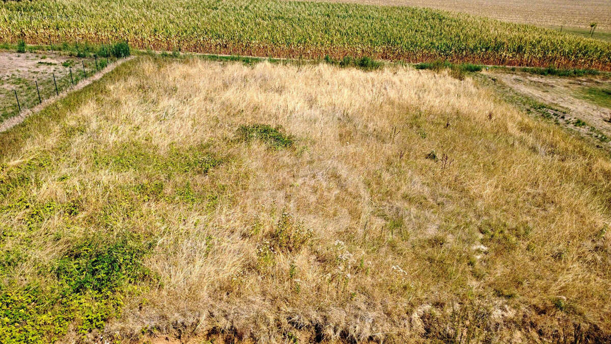 Terrain viabilisé de 1610 m2 qui n'attend plus que votre maison - photo 7