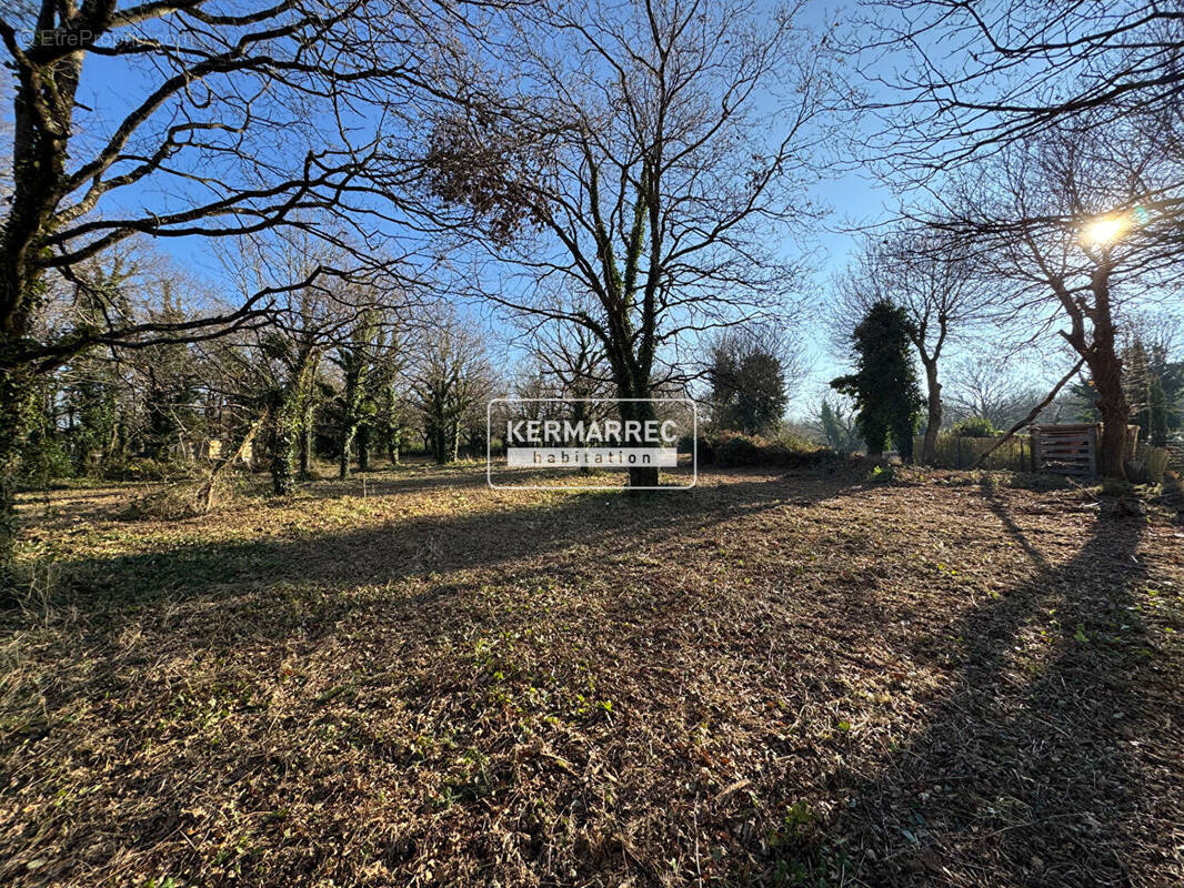 Terrain à LA TURBALLE