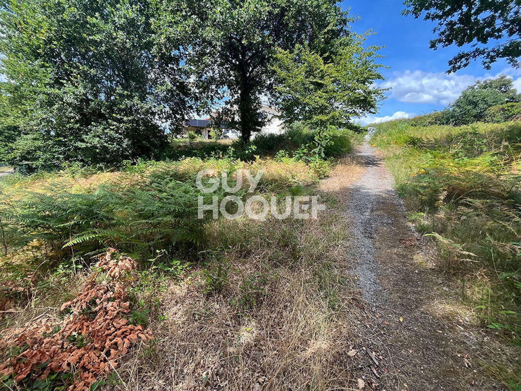 A vendre  : Terrain  de 2067m2 à Rion Des Landes ( 40370) - photo 2