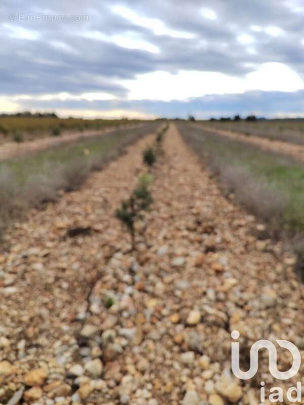 Photo 4 - Terrain à ROCHEGUDE