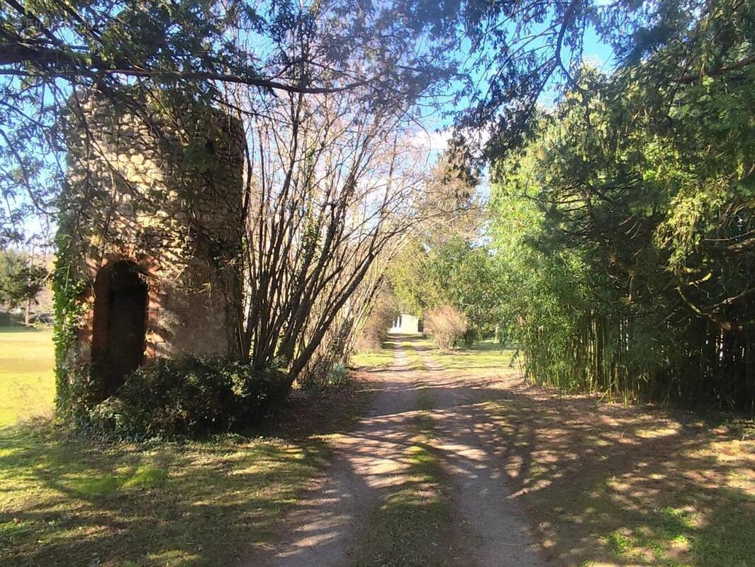 Photo 1 - Maison à LE BLANC