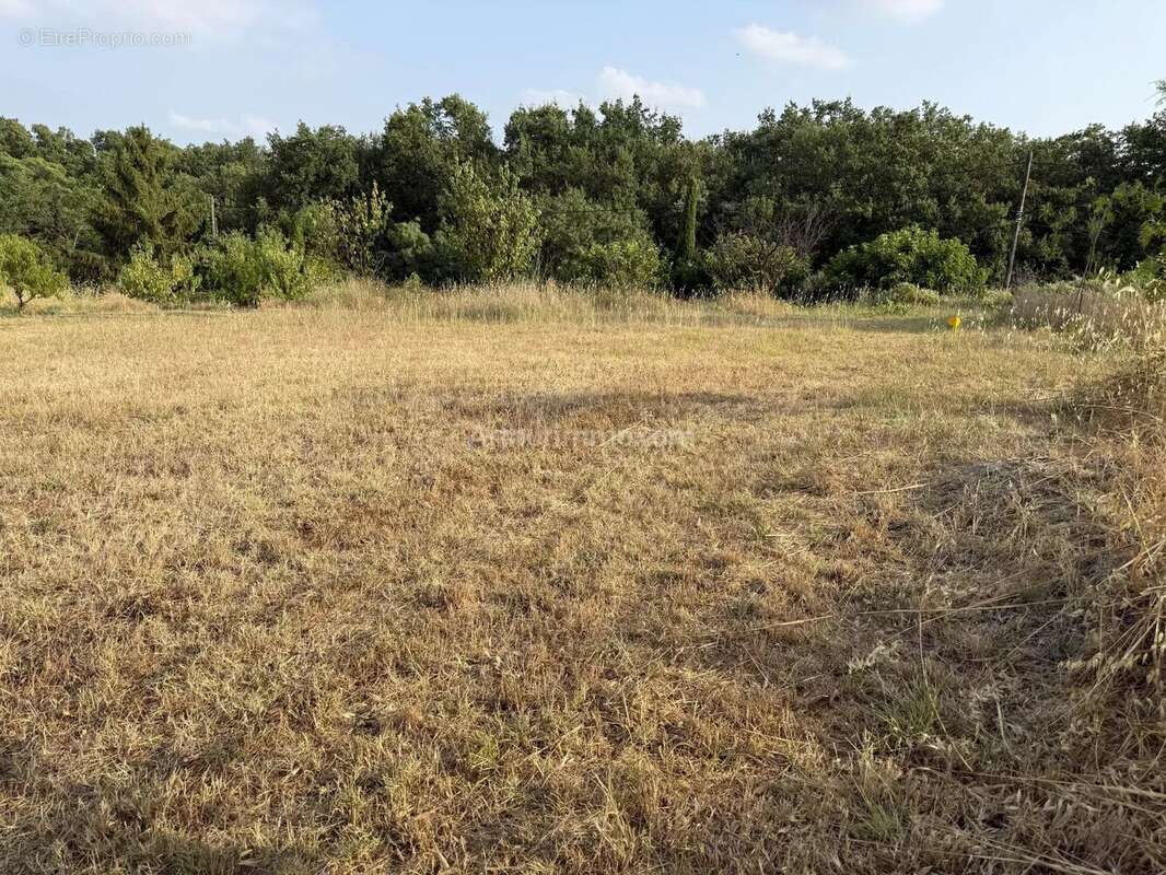 Vente Terrain Clermont-l'herault(34800) 149 000ï¿œ - photo 2