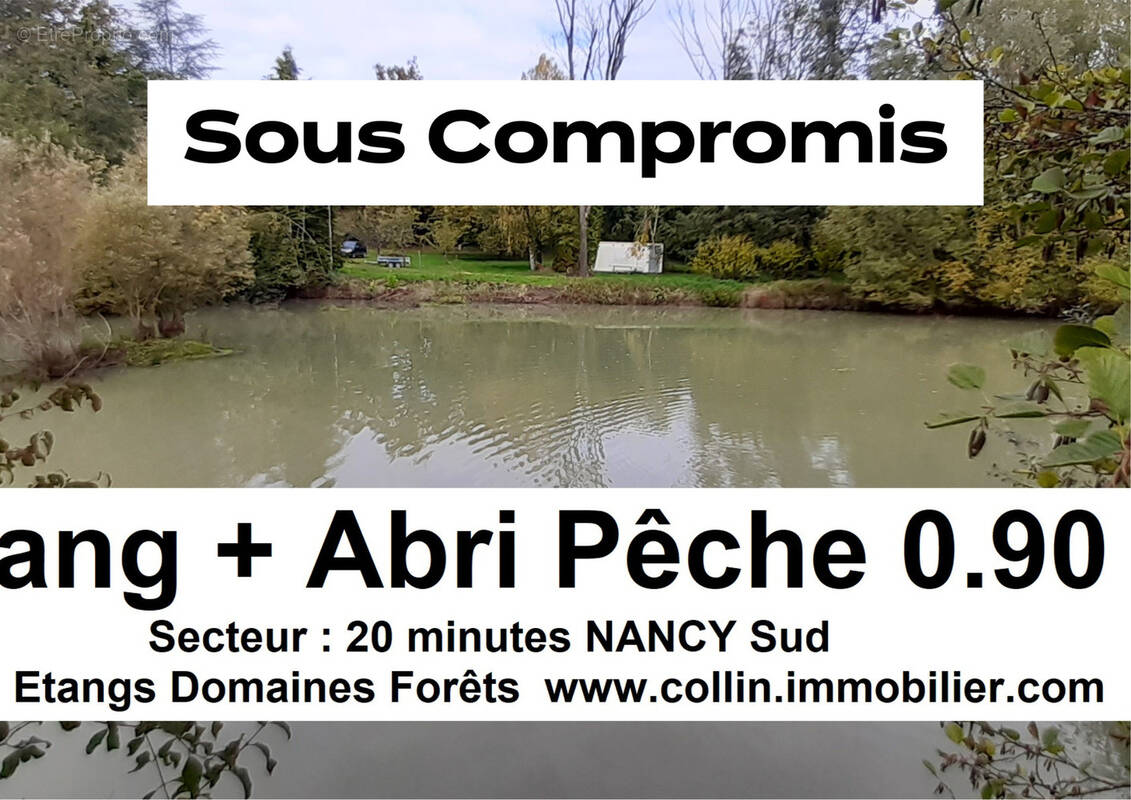 Terrain à LUNEVILLE