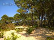 Terrain à VIELLE-SAINT-GIRONS