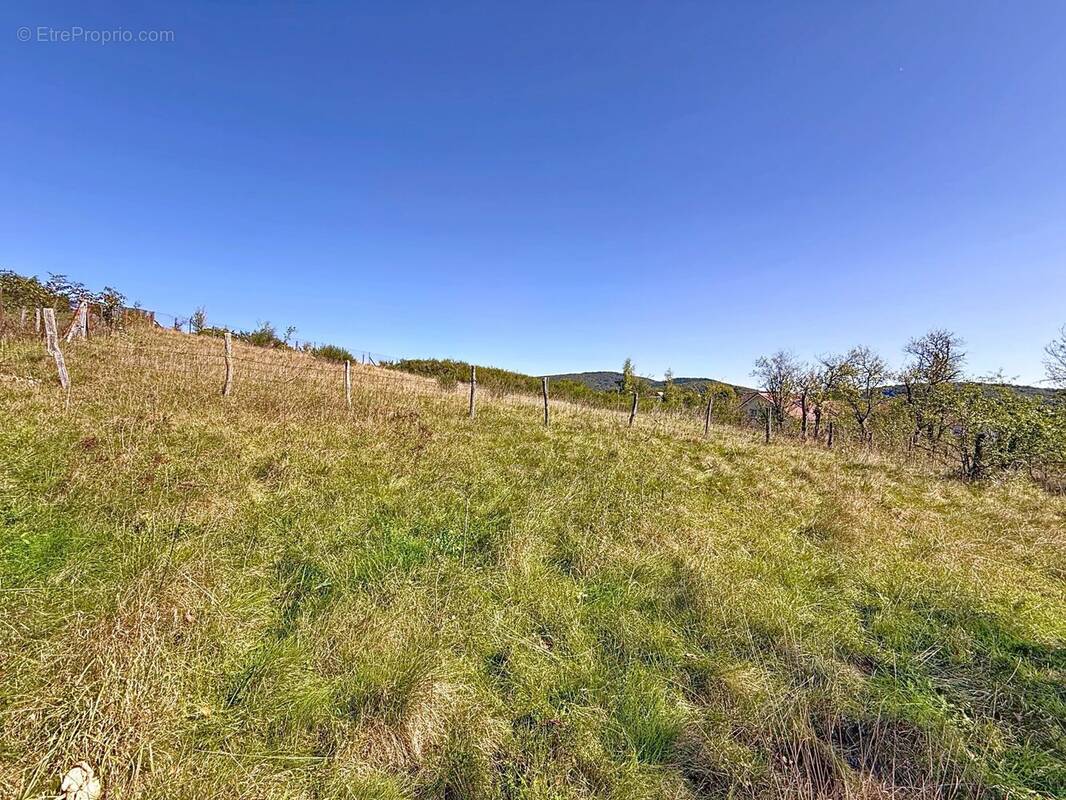 Terrain à CHALONVILLARS