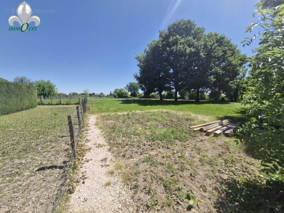 Maison à AUVILLARS-SUR-SAONE