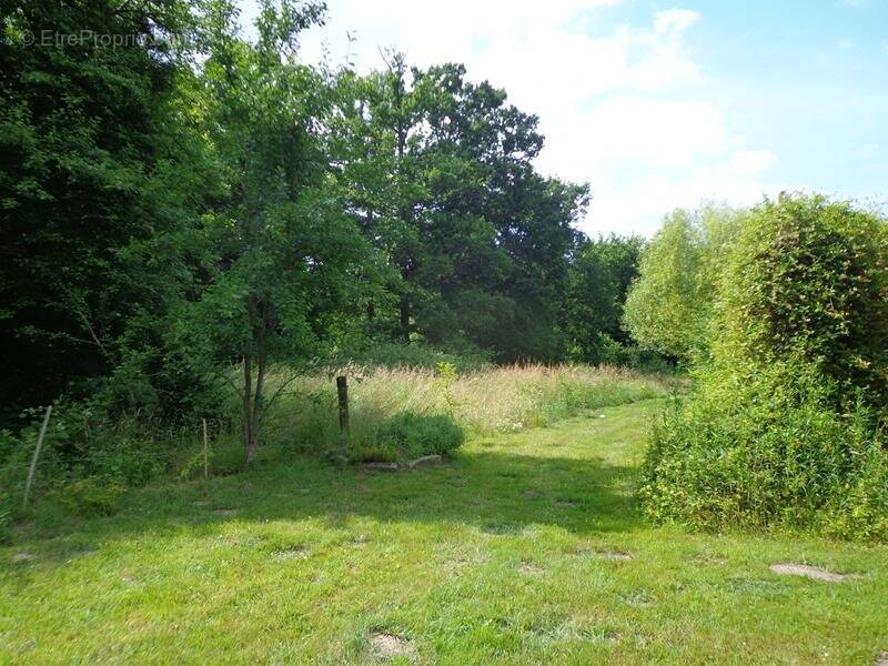 Terrain à MONTHYON