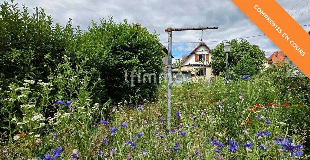 Charmante maison avec jardin et dépendances- Rossfeld - photo 2