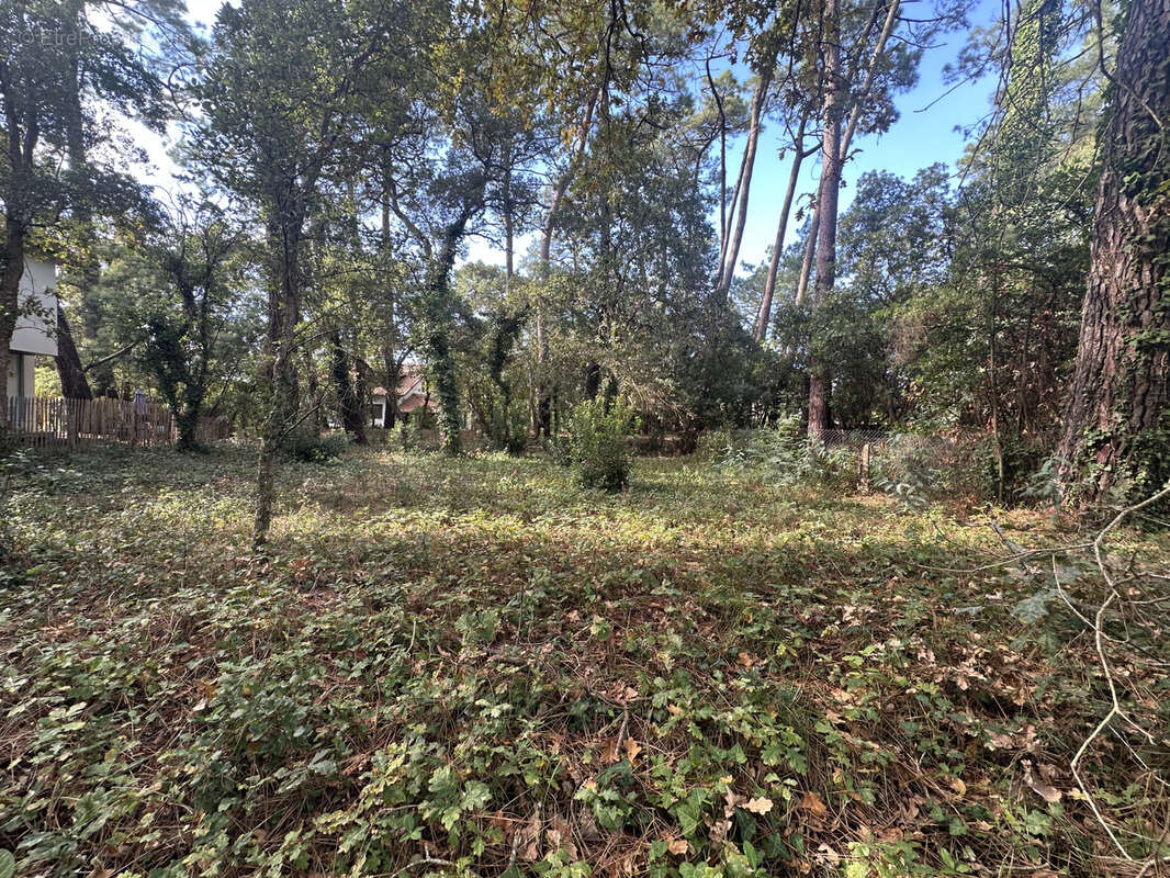 Terrain à CAPBRETON