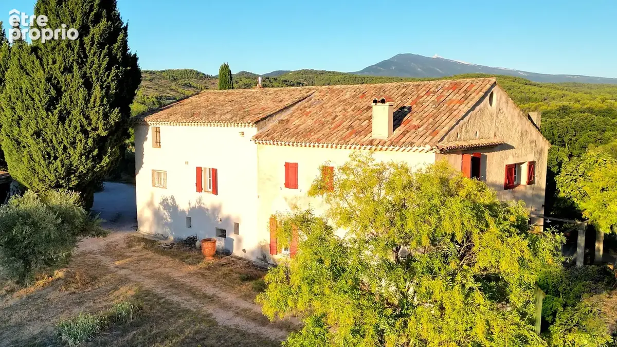 Demeure oliviers verger et vignes - photo 2