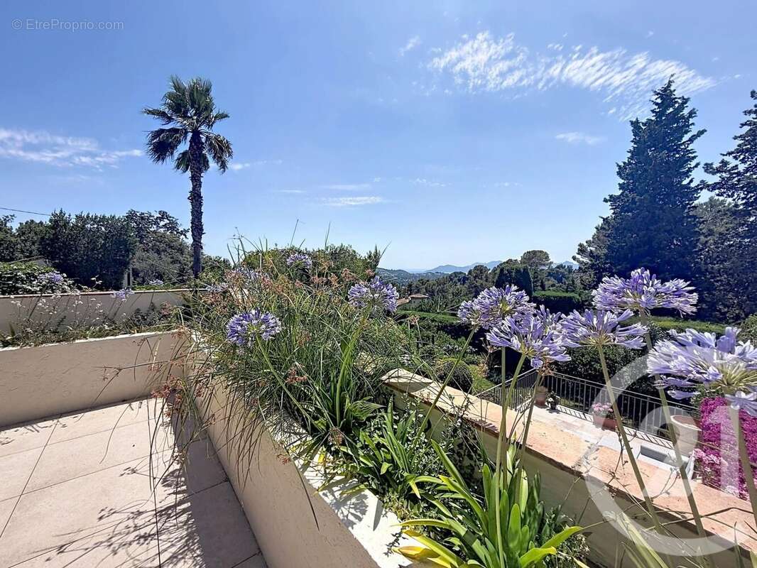 Maison 161 m² à Mougins  - photo 2