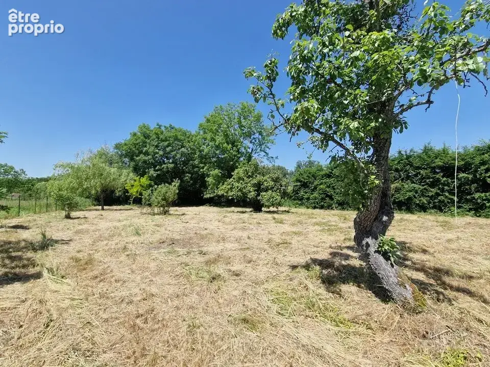 Maison 6 pièces 126 m² à vendre à Saint-Pourcain-Sur-Sioule (03500) - photo 3