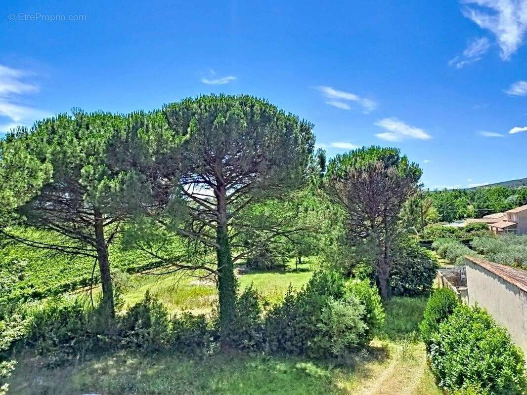 Maison 366 m² à Cornillon  - photo 2