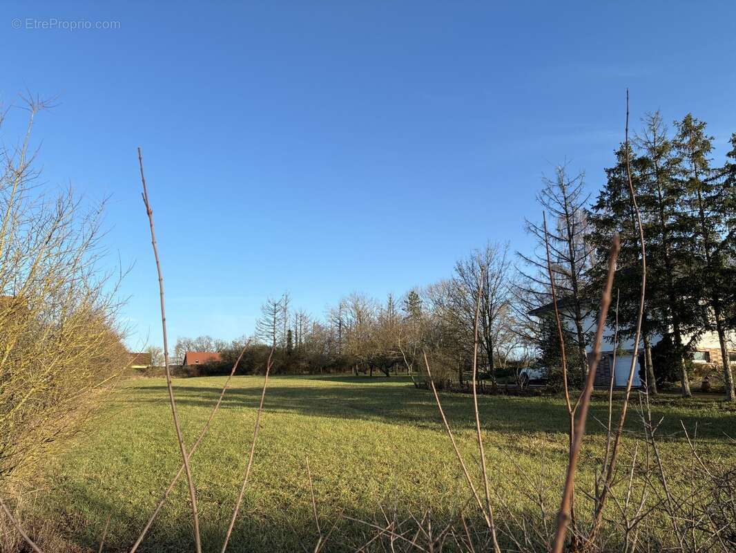 Terrain à ROHRBACH-LES-BITCHE