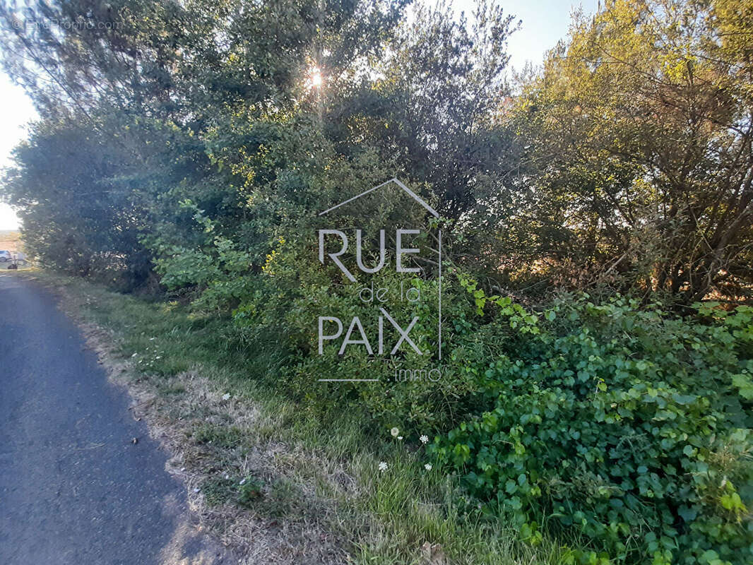 Terrain à LEIGNE-SUR-USSEAU