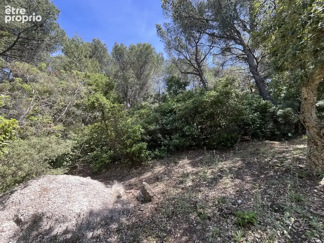 Terrain 8 590 m² à vendre à Six-Fours-Les-Plages (83140) - photo 3