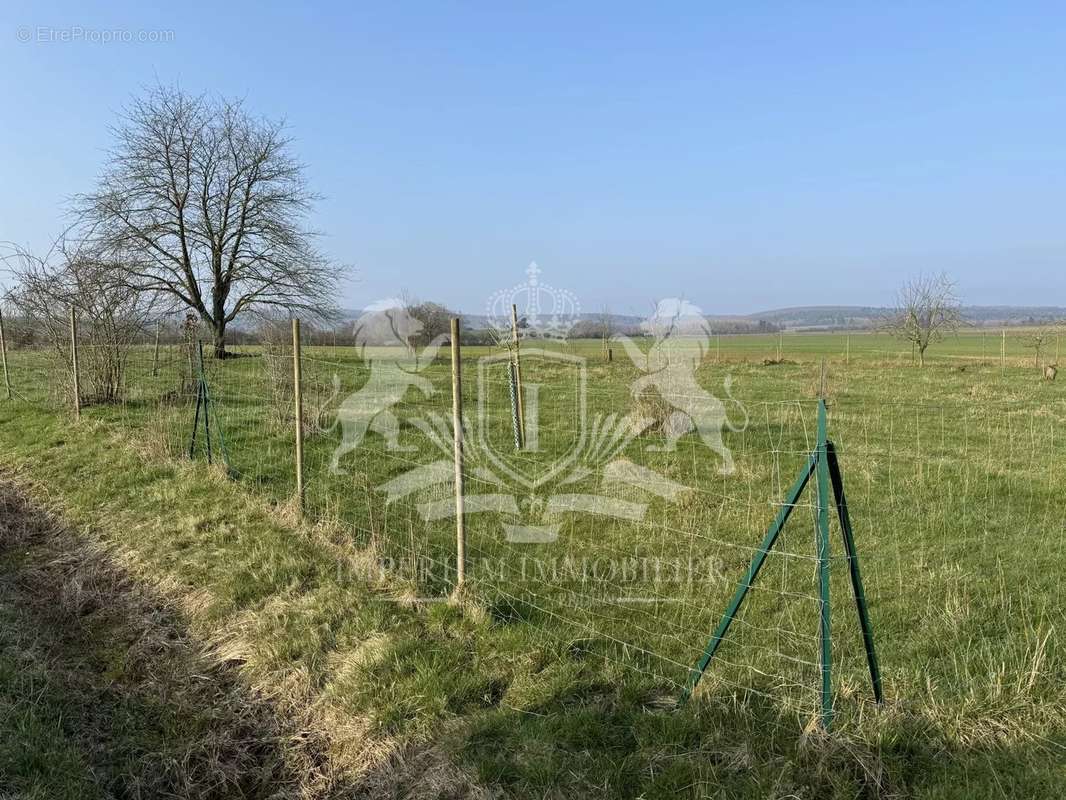 Terrain à MAUCOURT-SUR-ORNE