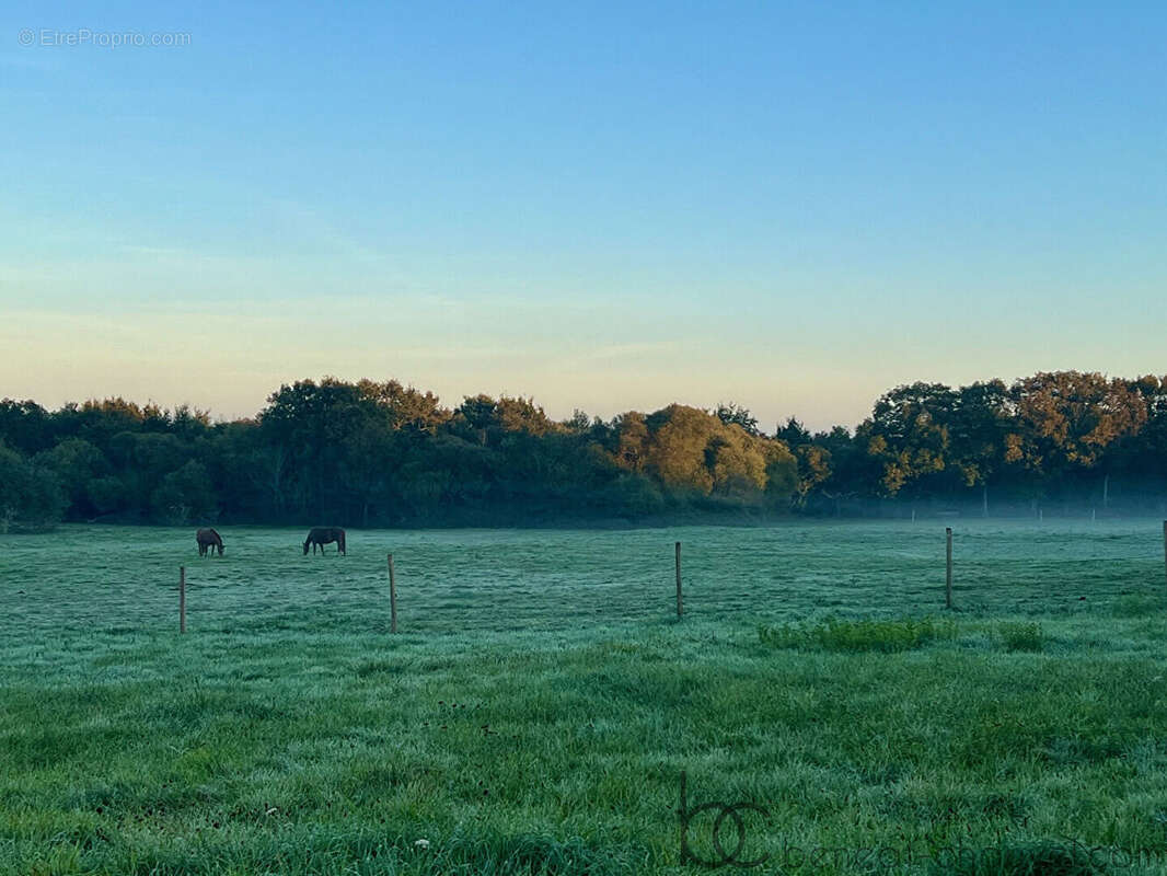Terrain à SAINT-GILDAS-DE-RHUYS