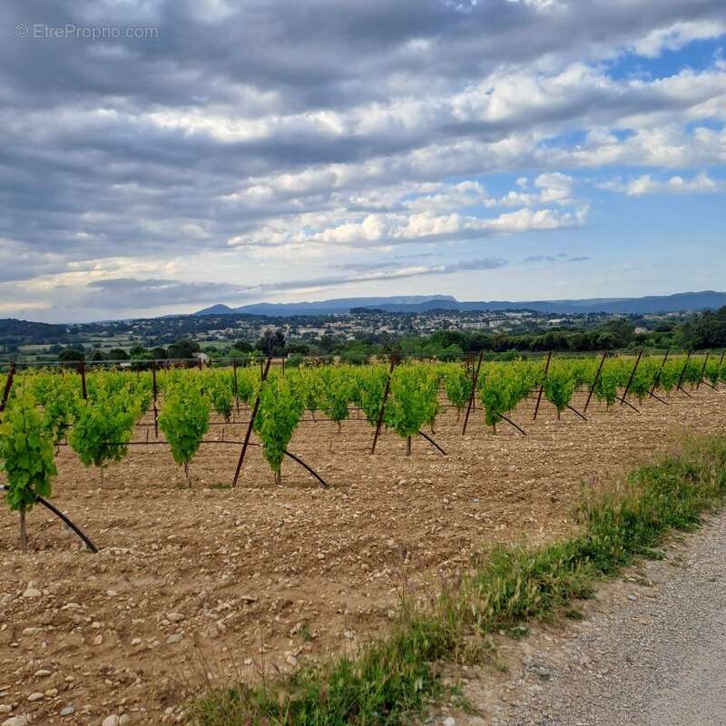Terrain à PERTUIS