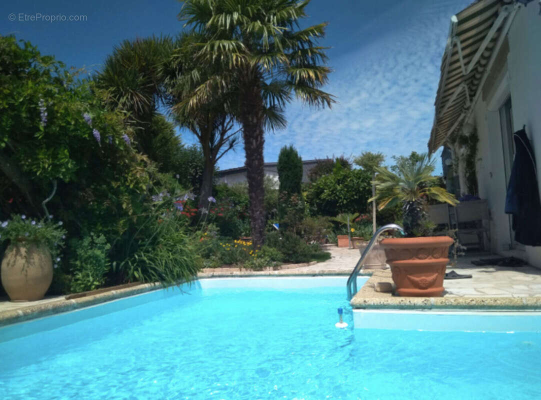 Maison  centre ville avec piscine et 2 dépendances - photo 15