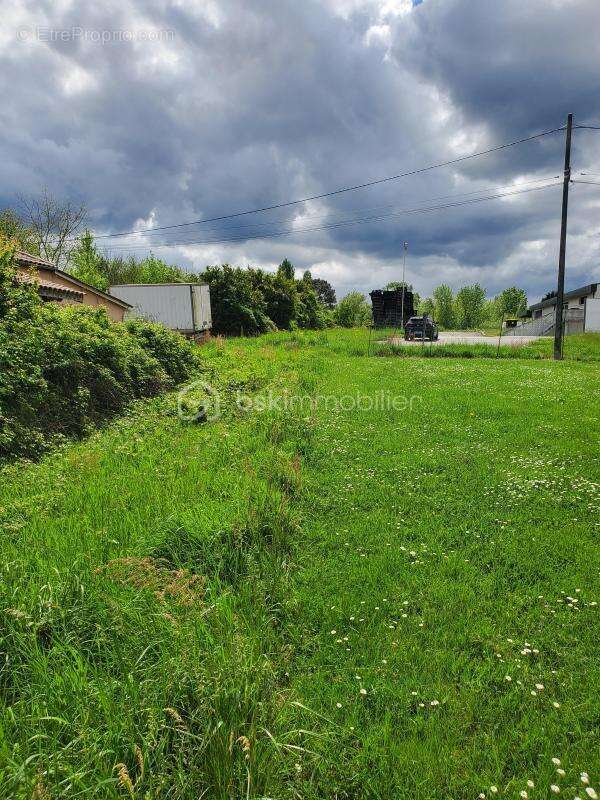 Terrain à MIRAMONT-DE-GUYENNE