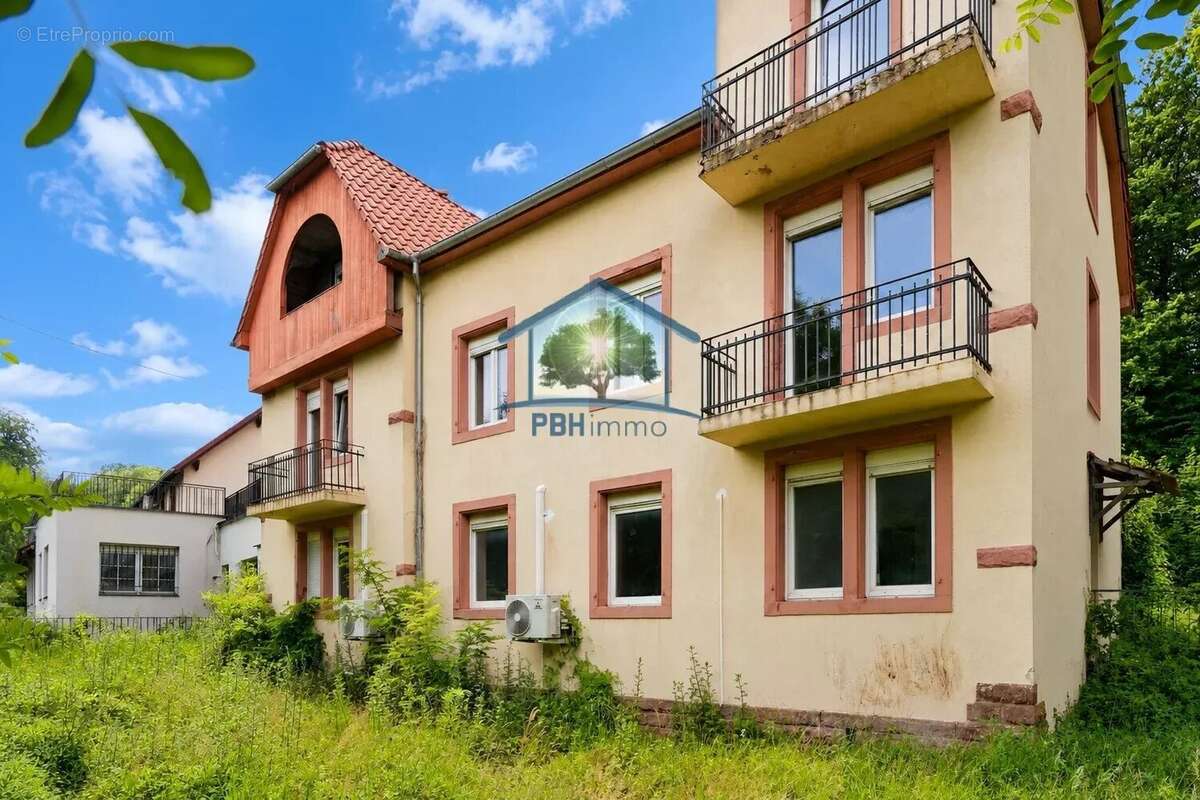 Ottersthal (67) - batiment usage commercial 21 pièces 787m²  sur 50,95 ares - photo 3