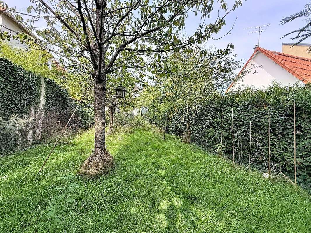Maison à MAISONS-ALFORT