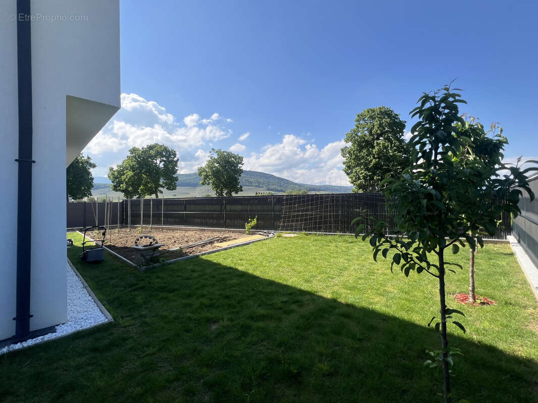 Maison à ISSENHEIM