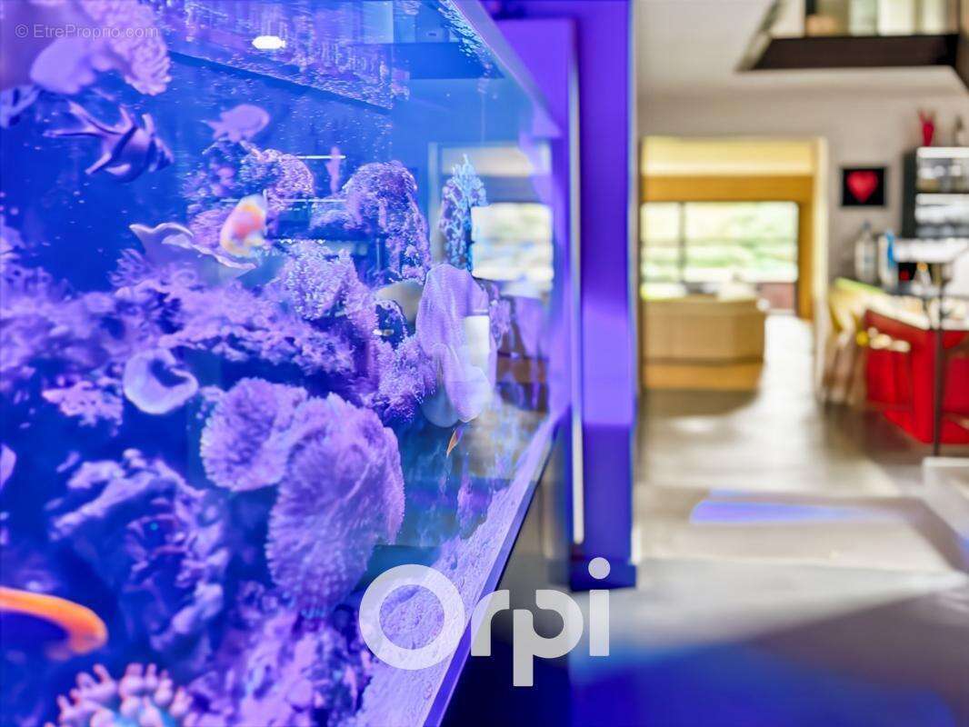 Maison à LA ROCHE-SUR-YON