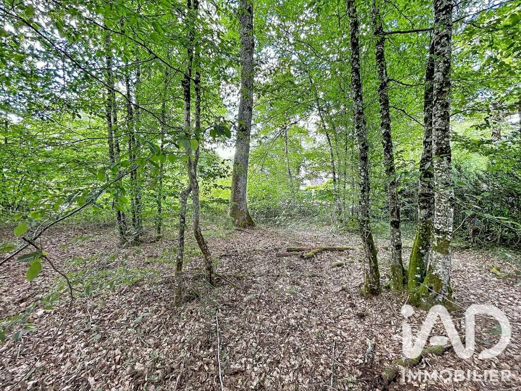 Terrain 893 m² à Courtenay  - photo 2