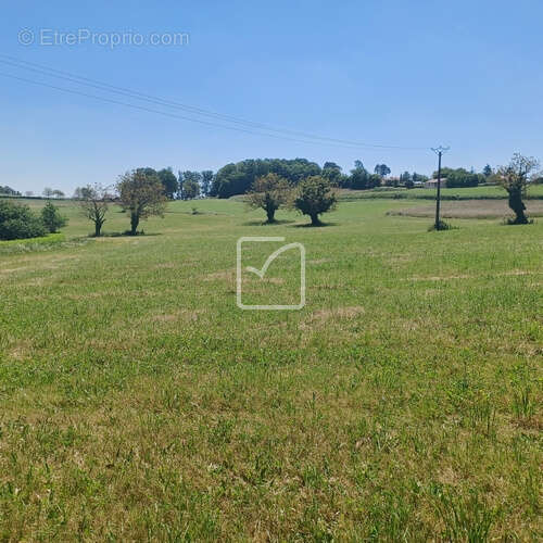 Terrain à SAINT-PROJET