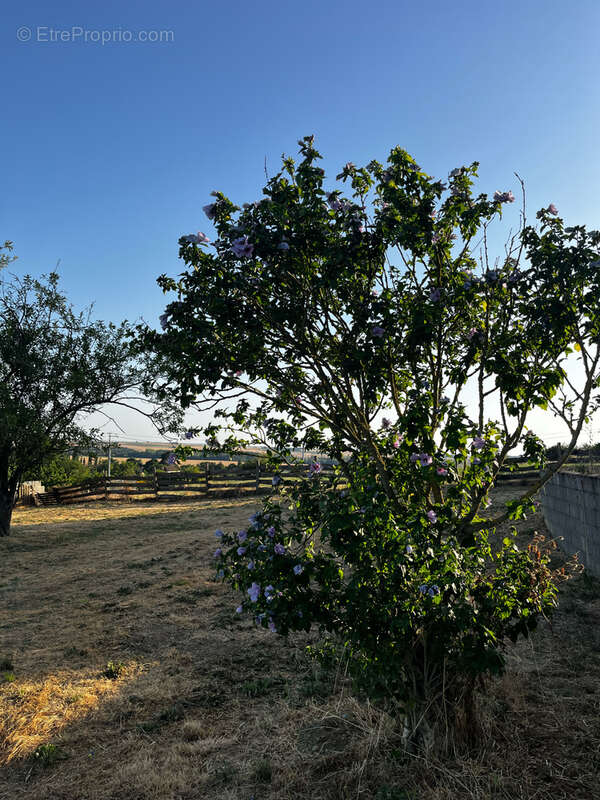 Maison à SAINT-JEAN-DE-SAUVES