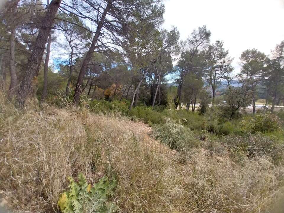 Terrain à SALERNES