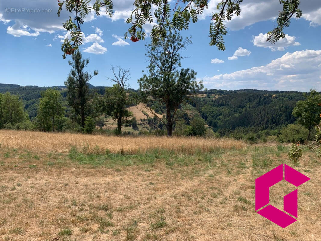 Terrain à YSSINGEAUX