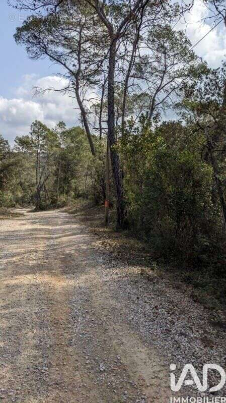 Photo 3 - Terrain à LORGUES