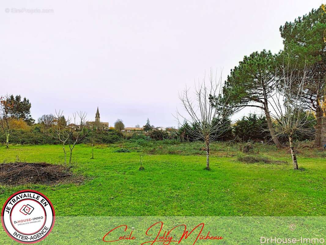 Terrain à CARTELEGUE