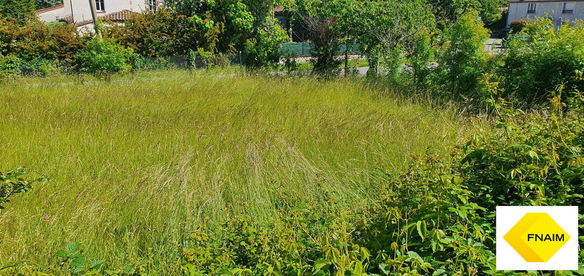 Terrain à LA SAUVETAT-DE-SAVERES