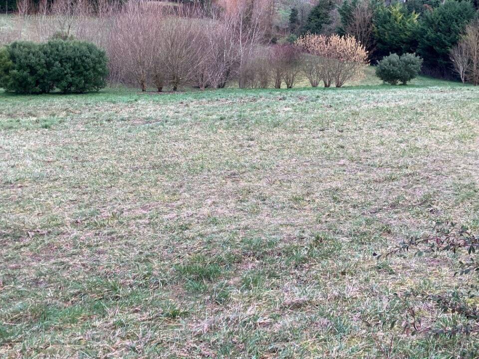 Terrain à SAINTES