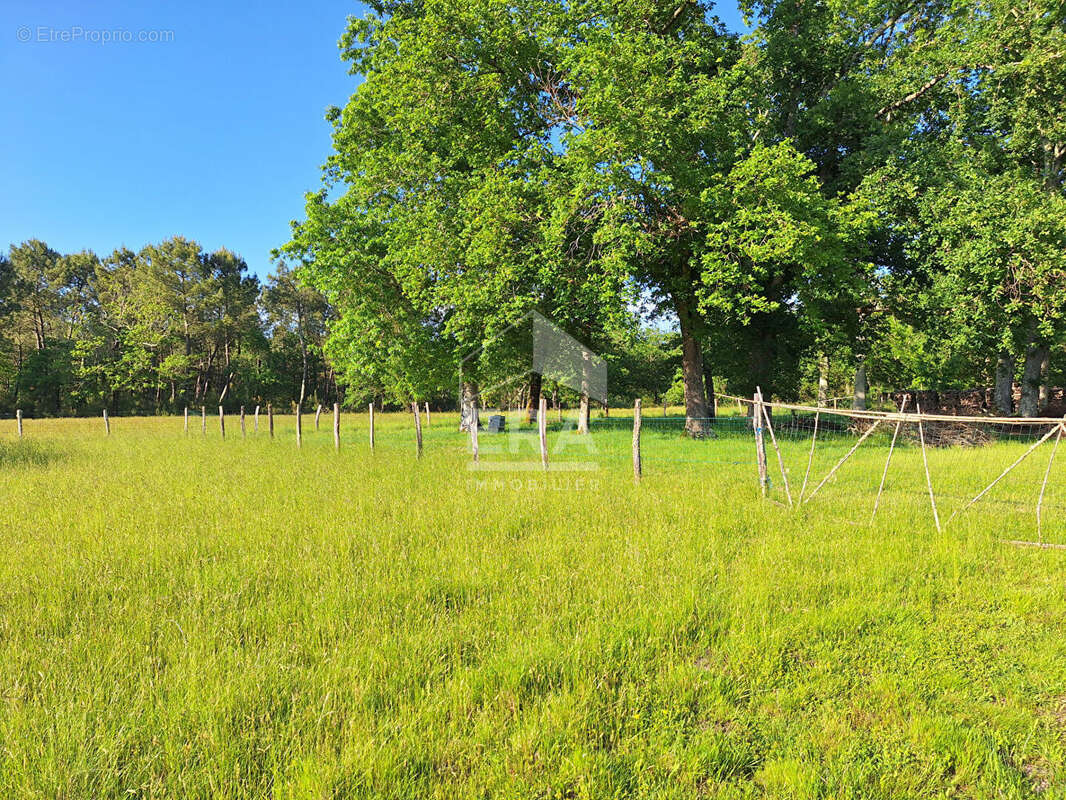 Maison à SAUGNACQ-ET-MURET