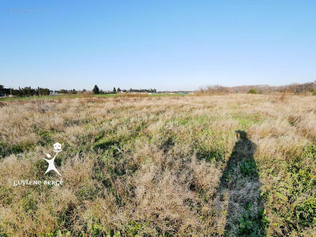 Terrain à LE CAILAR