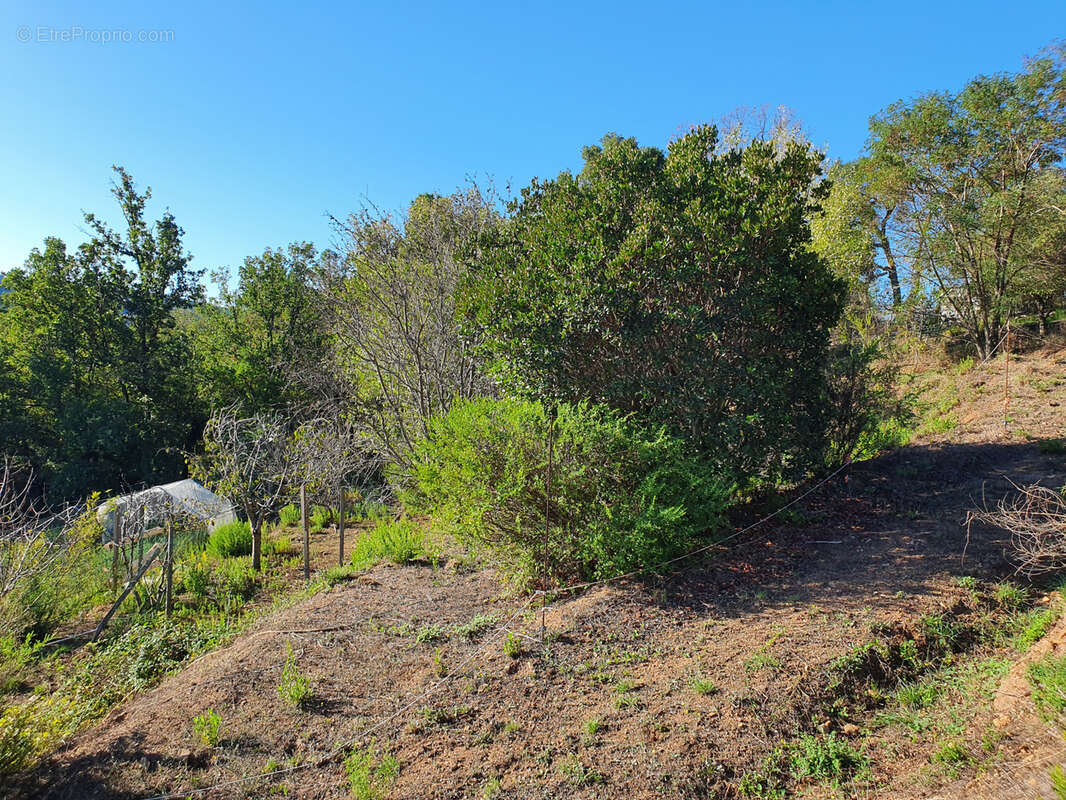 Terrain à LES ADRETS-DE-L'ESTEREL