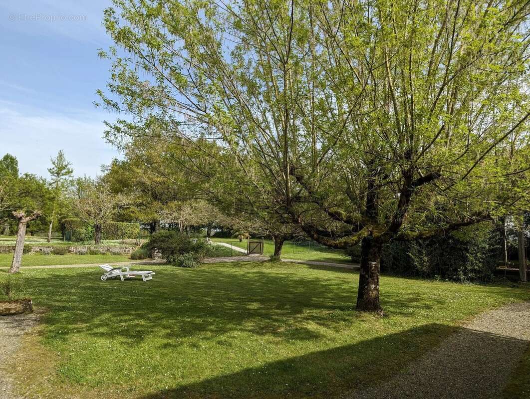 Maison de caractère avec 4 chambres sur 'environ 7318 m². - photo 44