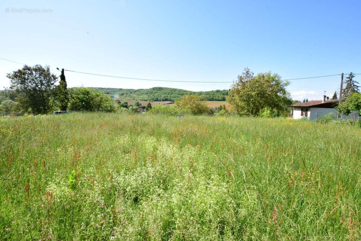 DSC_1049 - Terrain à AURIGNAC